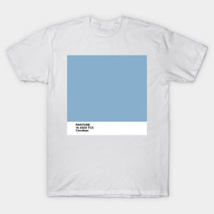 pantone 15-4020 TCX Cerulean T-Shirt